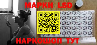 стафф Ставрополь