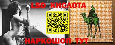 стафф Ставрополь