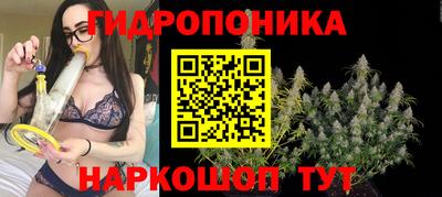 стафф Ставрополь