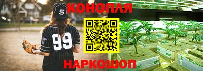 прущие грибы Среднеуральск